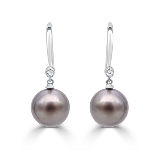 Tahitian Pearl Earrings PL055